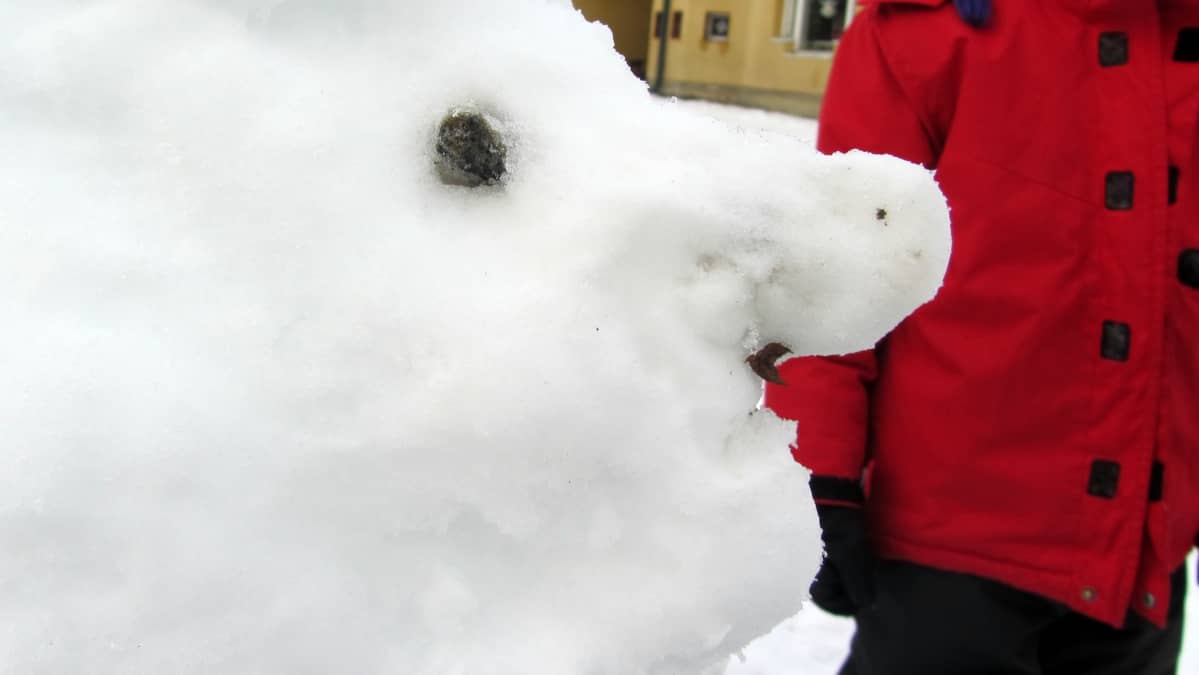 Lumiukon sivuprofiili.