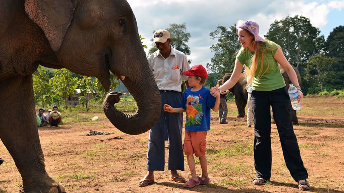 Virpi Lummaa tutkii aasiannorsuja Myanmarissa