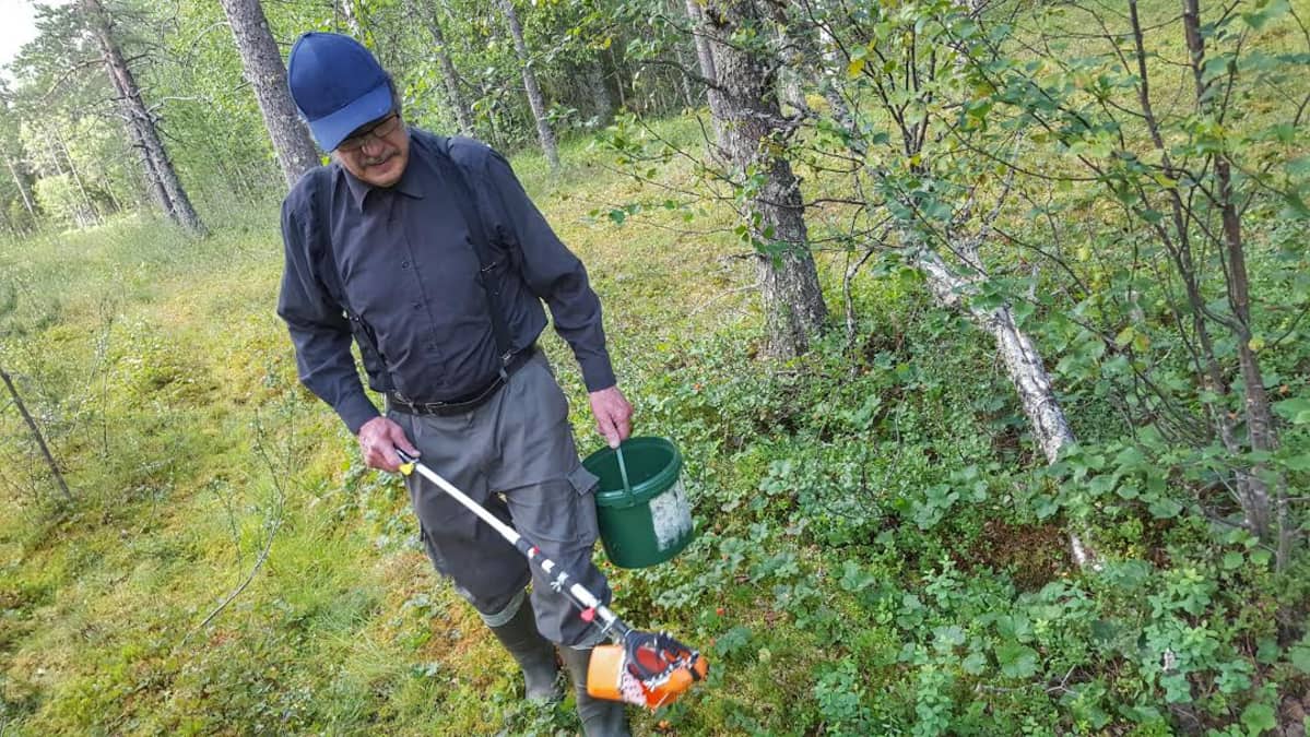 Kalevi Remes on kehitellyt hillapoimurin.