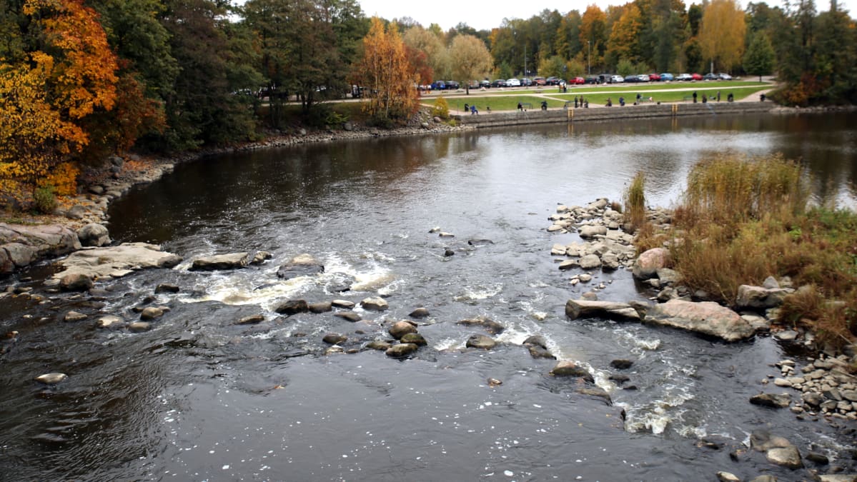 Vanhankaupunginkosken suvanto