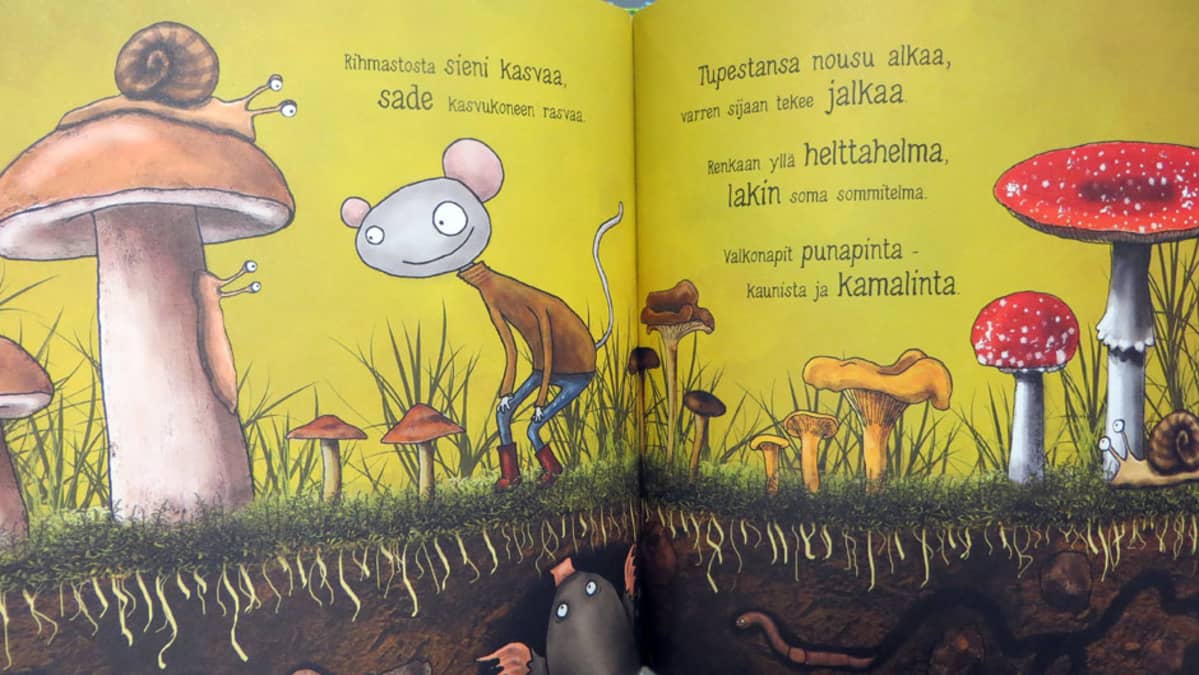 Aukeama Kirjavan kissan tutkimusretki -kirjasta