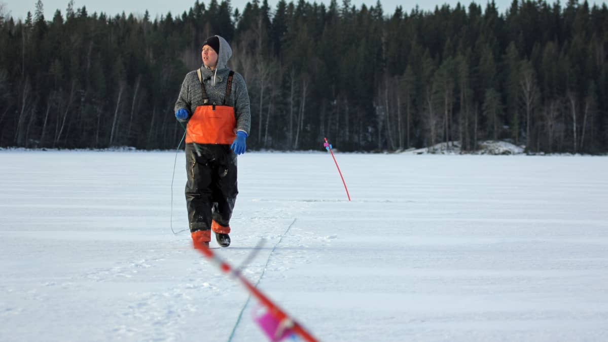 Kalastaja kävelee jäällä.