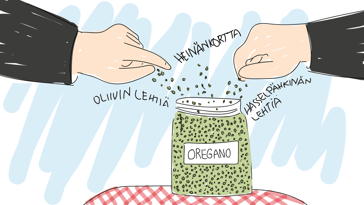 Oliivin lehtiä, heinänkortta ja hasselpähkinän lehtiä oreganona -piirros