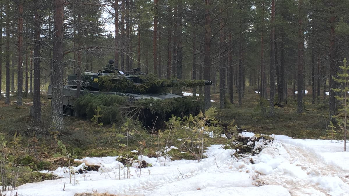 Maavoimien sotaharjoitukseen Rovajärvellä osallistuu myös Leopard-panssarivaunuja