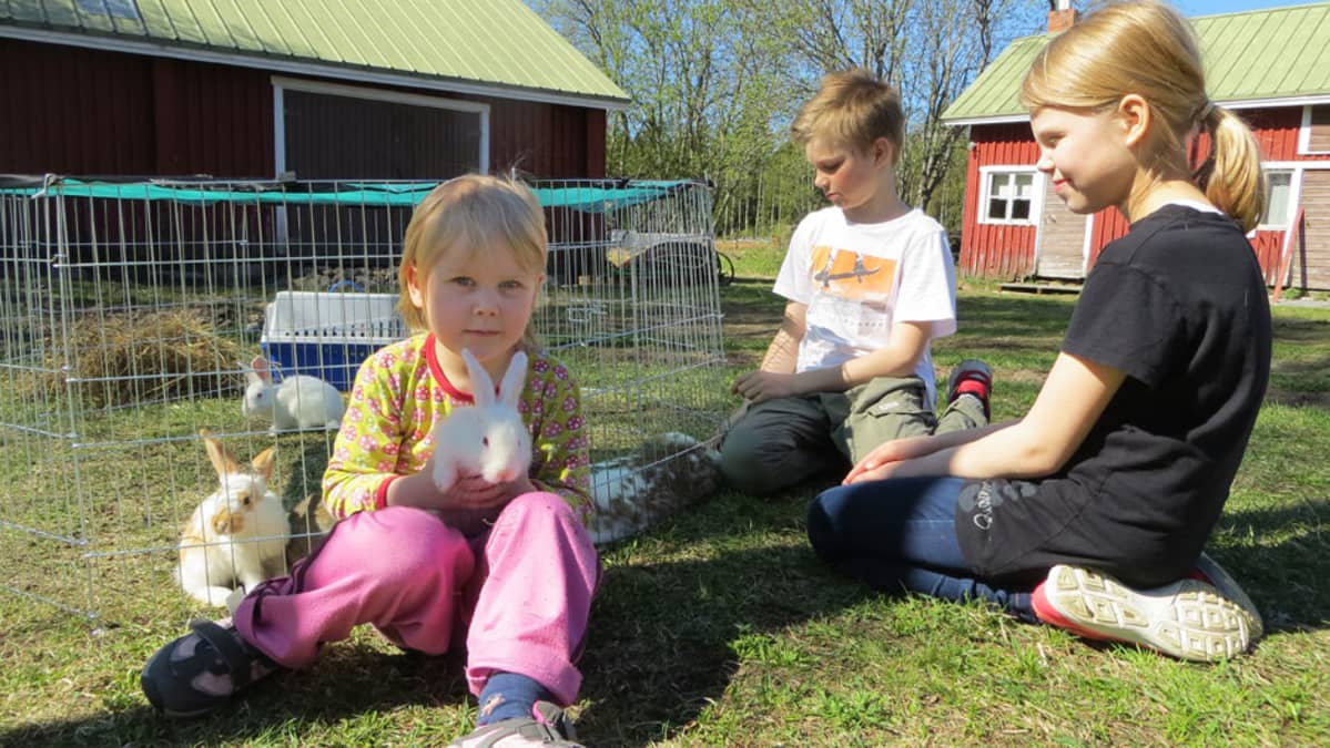 Ilona, Eemeli ja Martta Kuusela kanihäkin vieressä
