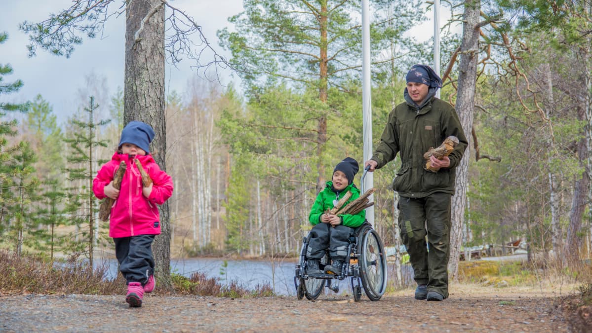 Kähköset kantamassa puita.
