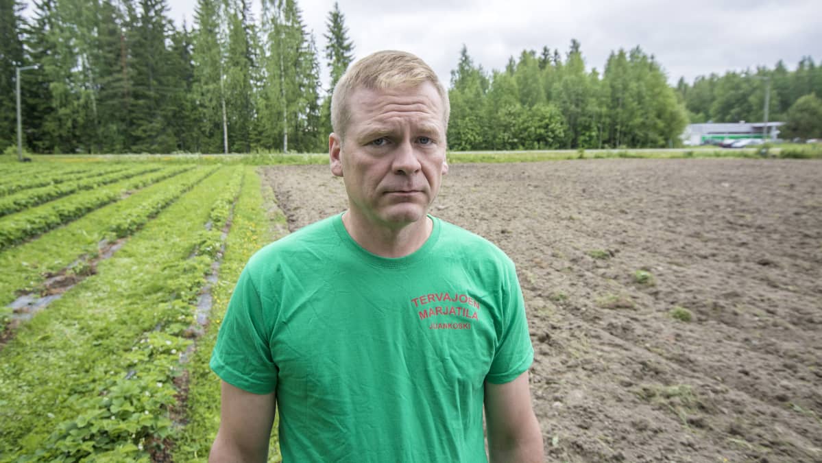 Toni Hämäläinen.