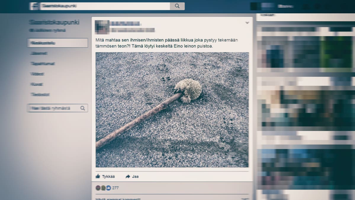 FB-kuvakaappaus Saaristokaupunki-ryhmästä.