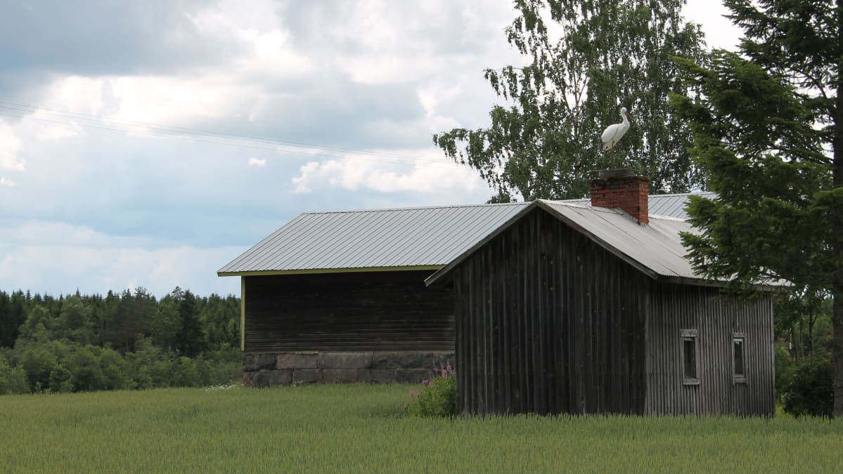 Seppo Hongan Haikara-teos ladon katolla Imatran Jäppilänniemessä.