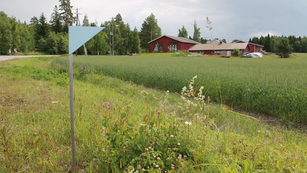 Sininen kolmio tien laidalla on merkkinä taidekohteesta.