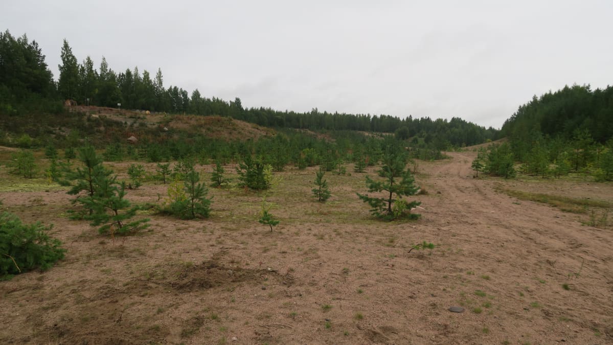 Ryttylän sorakuoppaa