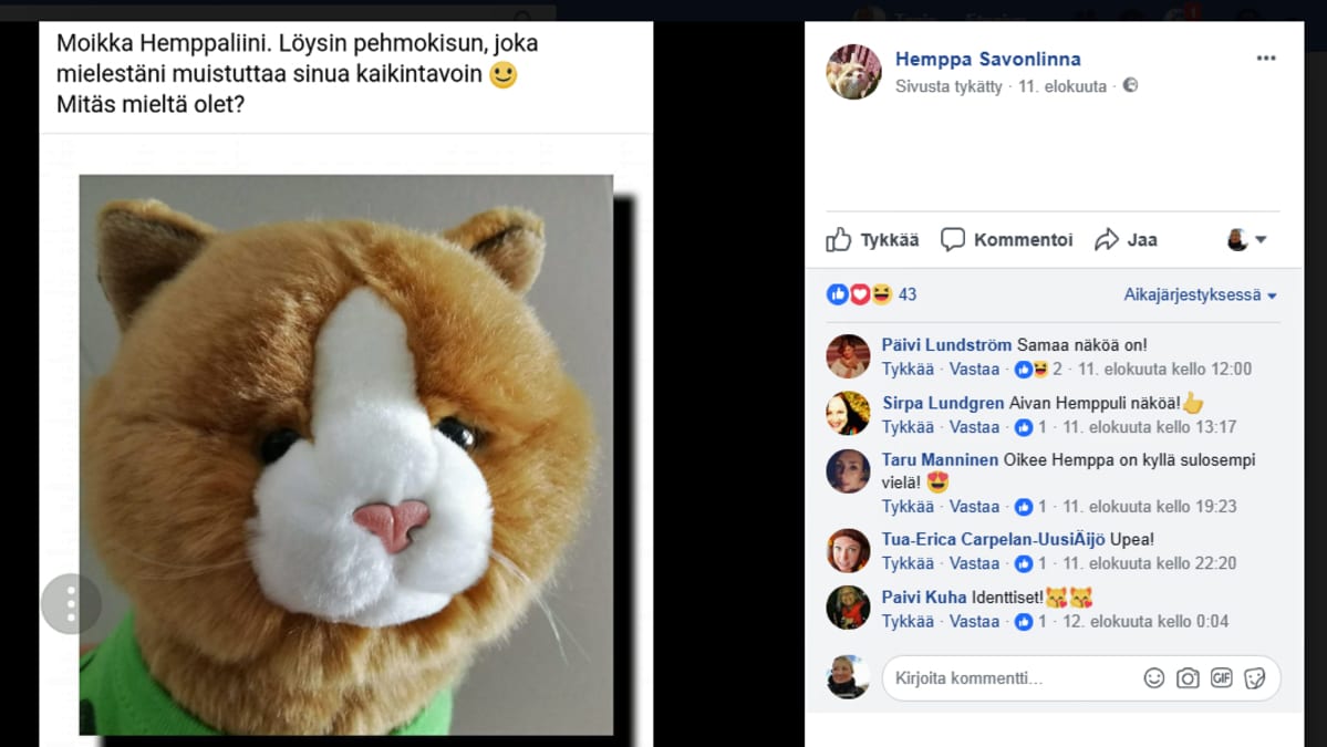 Kuvakaappaus Hempan sivulta.