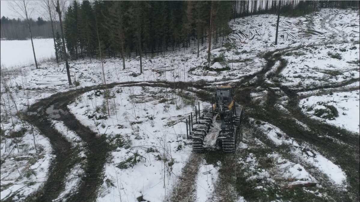 Ajokone metsässä