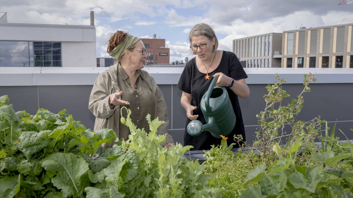 kuvataiteilijat Ritva Harle vasemmalla ja Merja Heino oikealla