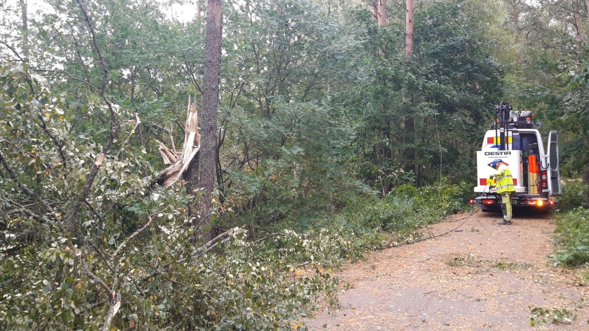 Aila-myrsky katkoi puita katuvalojen sähkölinjoille Turussa.