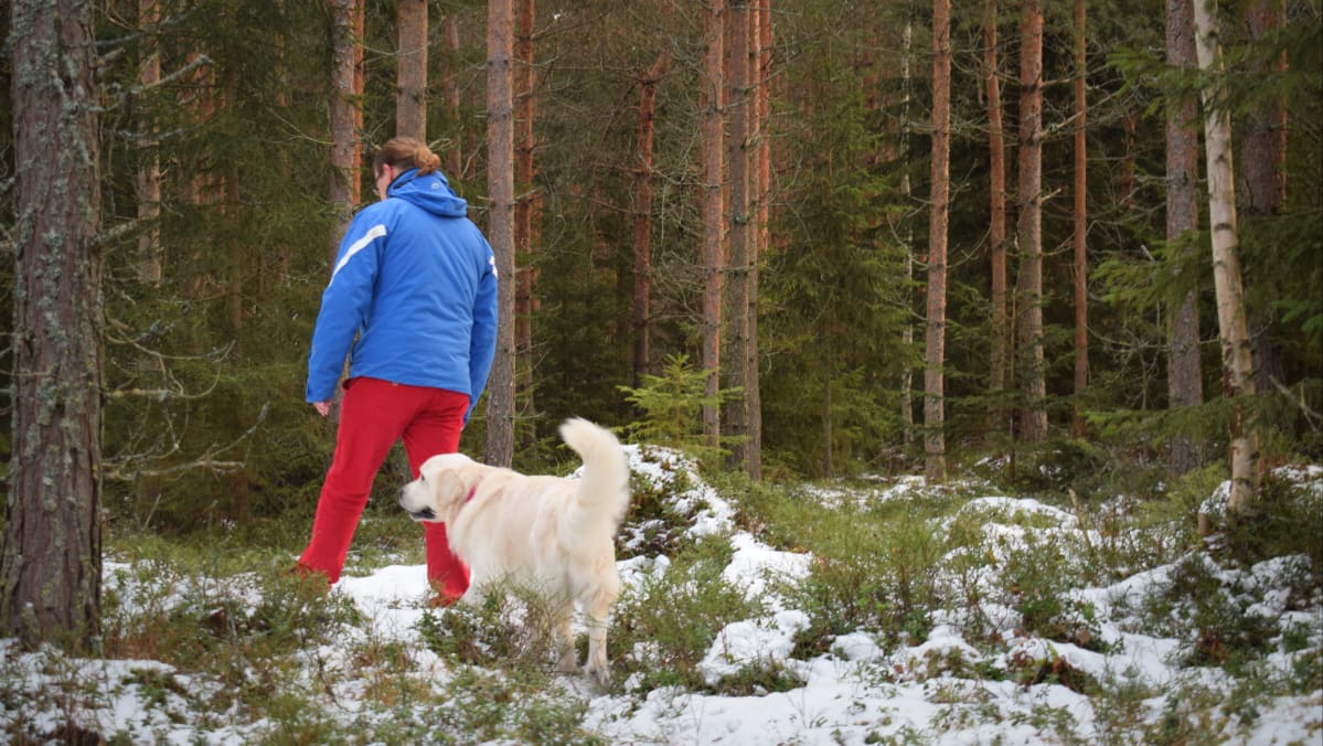 Teemu Levomäki kävelyllä metsässä koiransa kanssa.