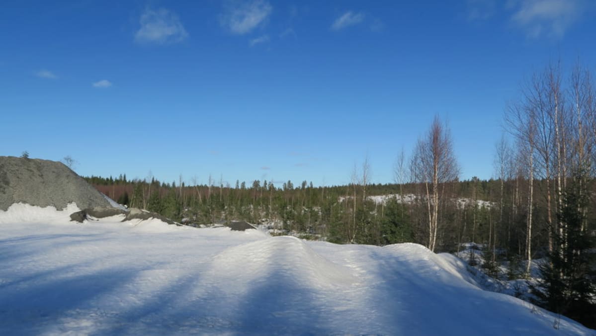 Maisemaa