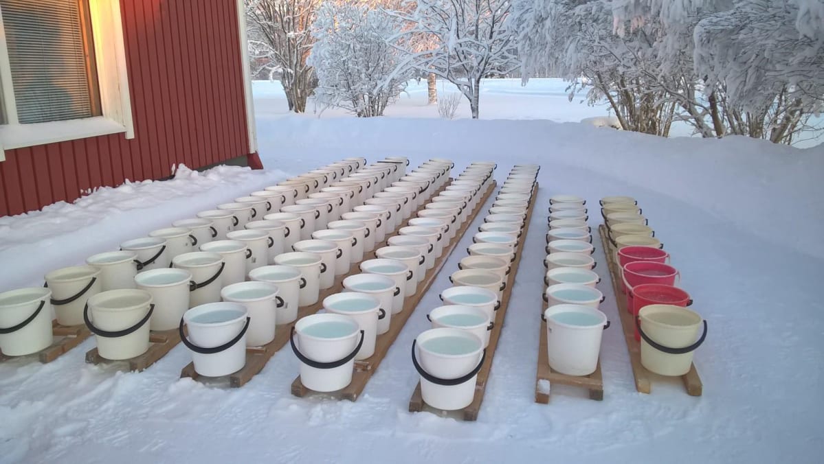 Jäälyhtyjen valmistusta, sankot pakastumassa