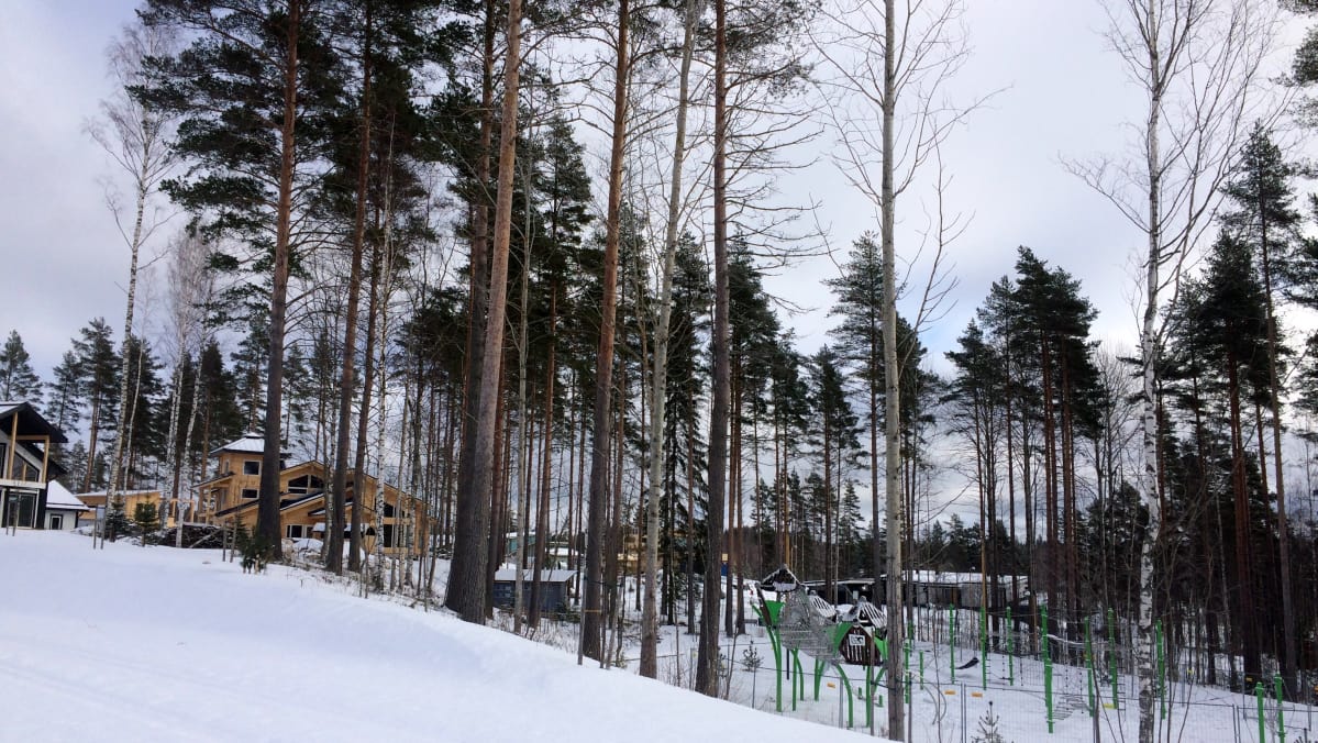Yleiskuva Mikkelin asuntomessualueelta.