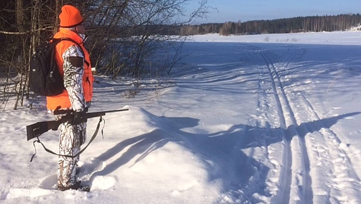 metsästäjä seisoo metsänreunassa ja pellonlaidassa, kivääri kädessä, metsästysasu, pakkanen, villisikajahti Jaalassa Kouvolassa