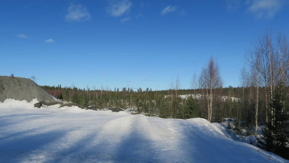 Maisemaa