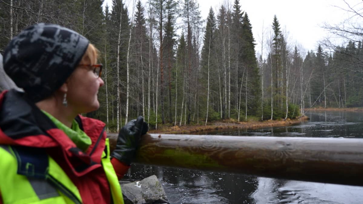 Metsätalousinsinööri Merja Kuukkanen.