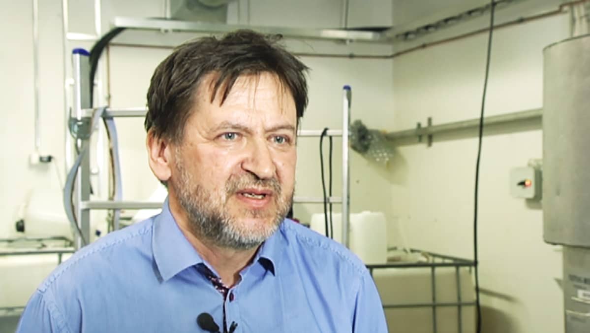 Hannu Ilvesniemi.