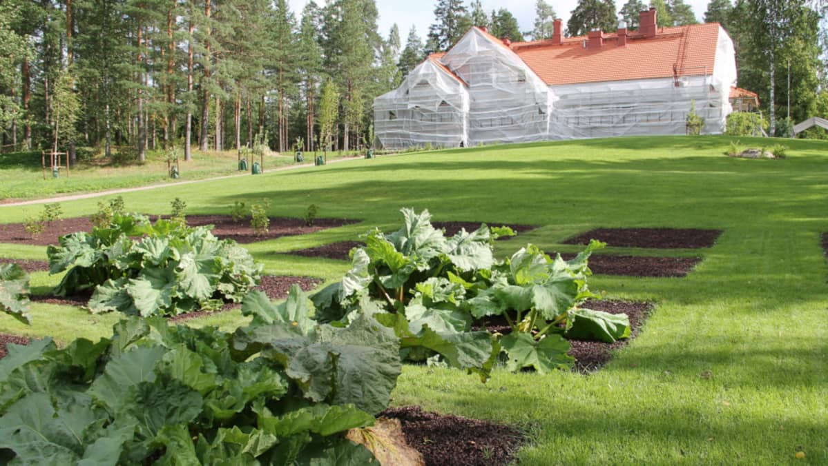 Kotkaniemi remontti puutarha ruutupuutarha