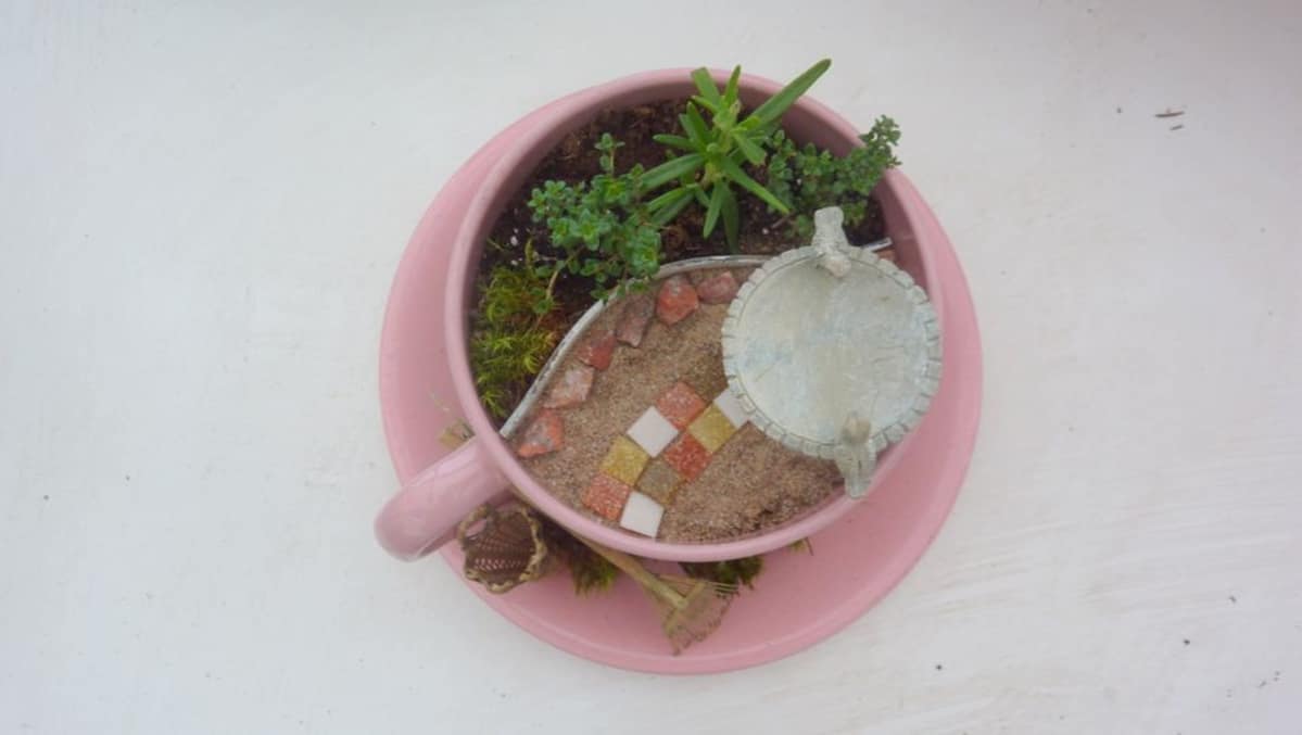 Riitta Koskisen miniatyyripuutarha mahtuu teekuppiin.