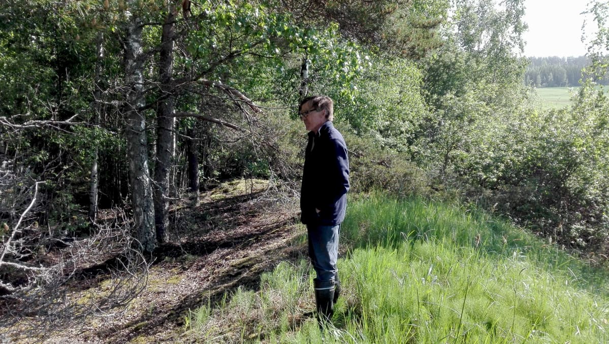 Pentti Ilonoja kanavapenkereellä