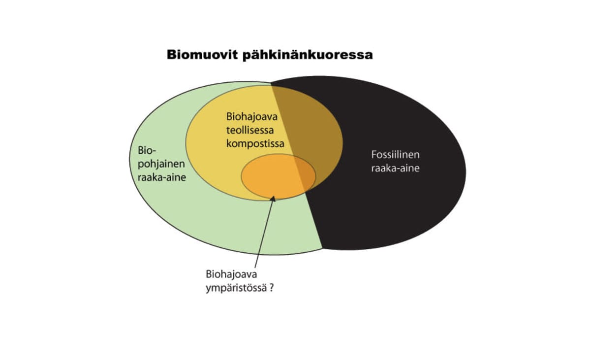 Taulukko biomuoveista