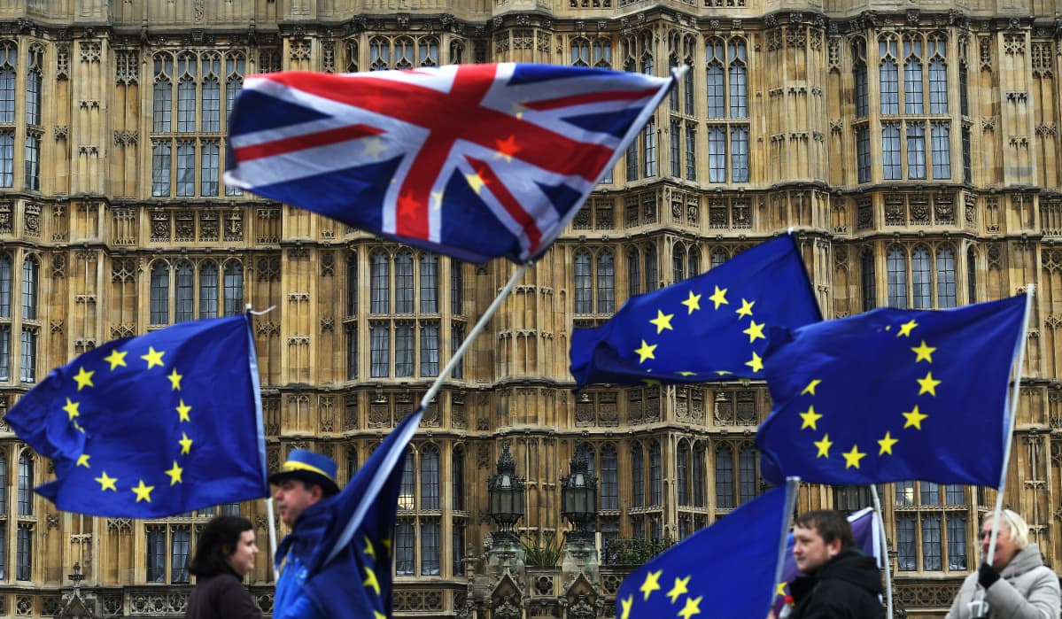 Brexitin vastustajat kampanjoivat parlamenttitalon edustalla Lontoossa.