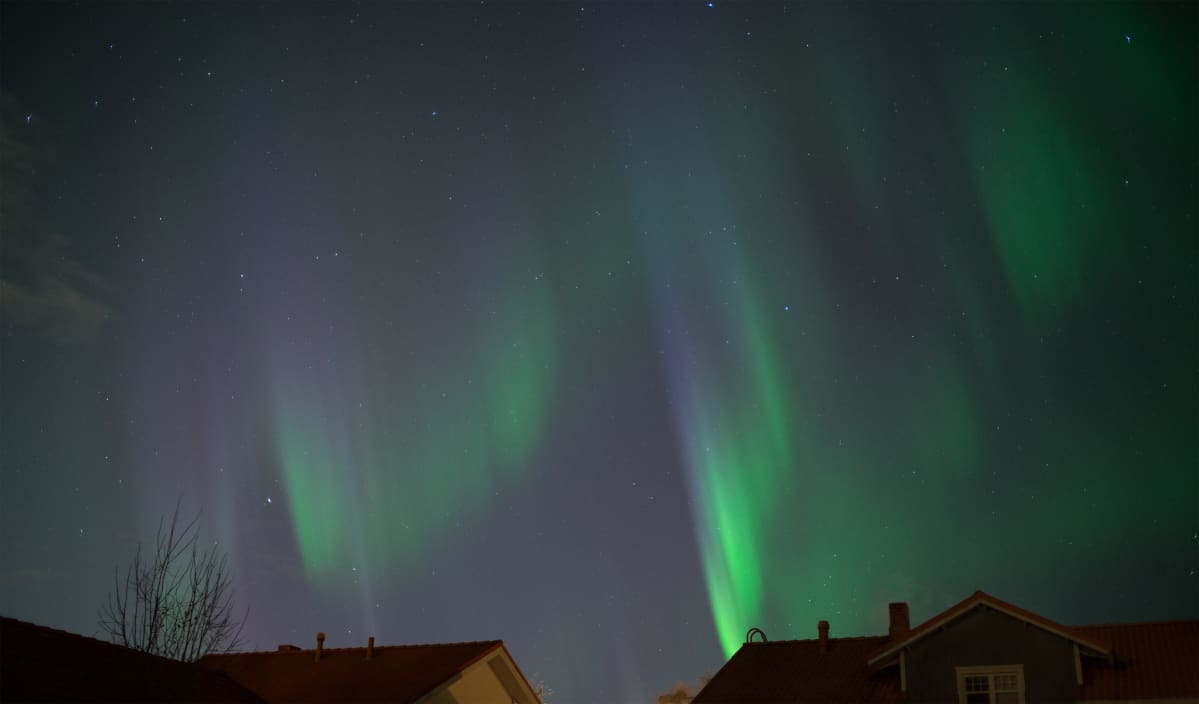 Sinistä ja violettia voi revontulissa nähdä pian auringonlaskun jälkeen sekä kovemmissa revontulimyrskyissä.