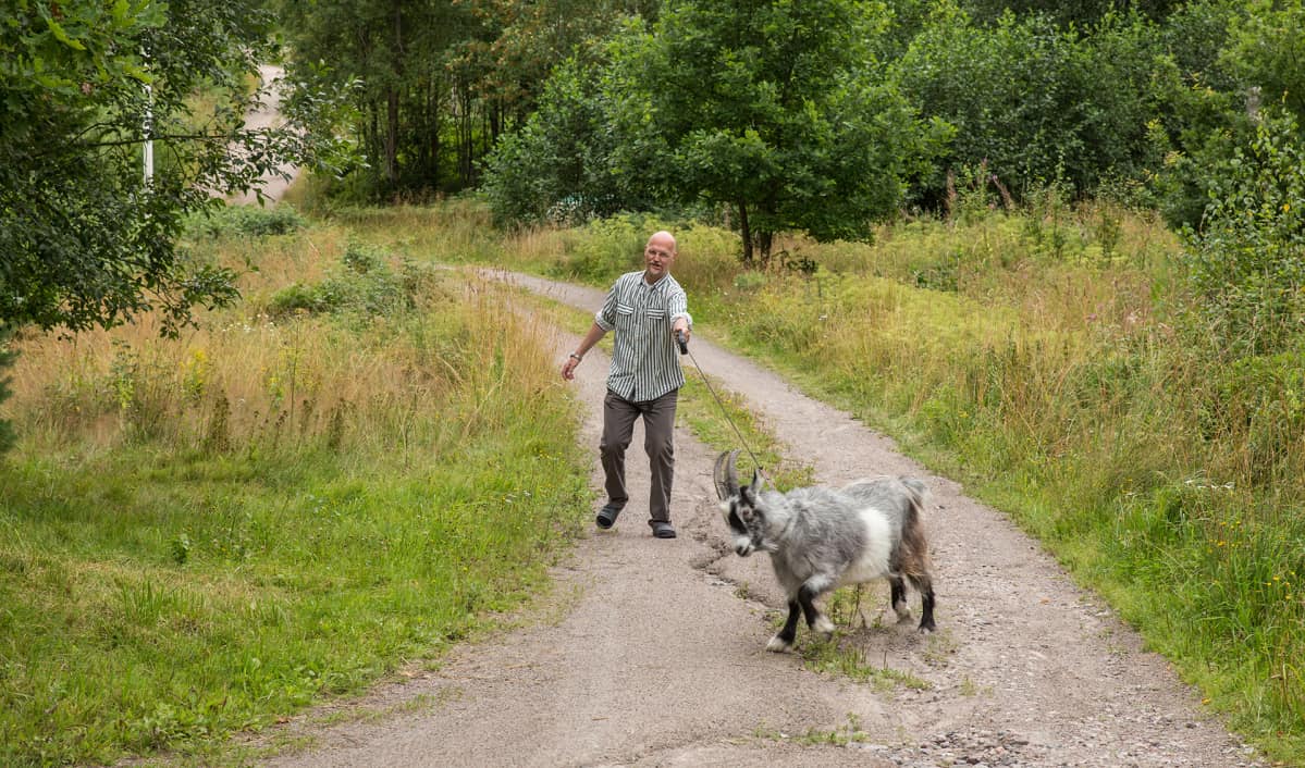 Sanomalehdenjakaja Petteri Goltz ja Iisakki-pukki.