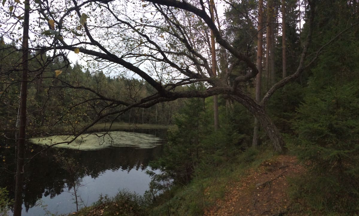 Sipoon Pilvijärvi on suosittu retkeilypaikka