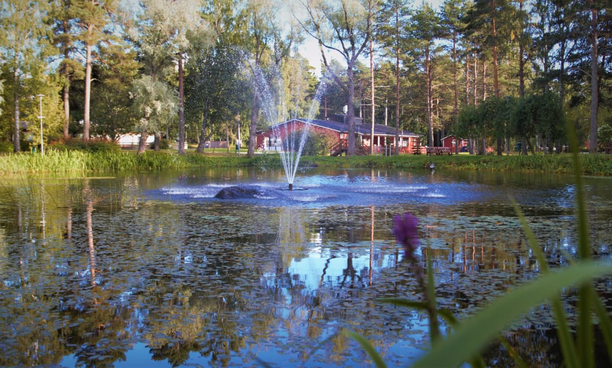 Tammikaivonpuisto