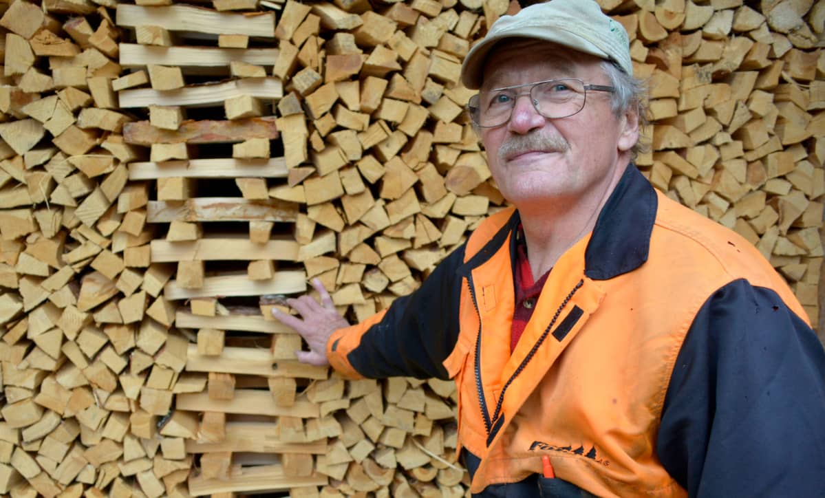 Veikko Salo ja halkopino