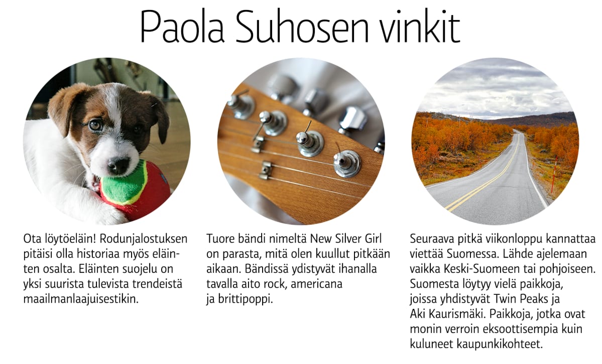 Palola Suhosen vinkit.