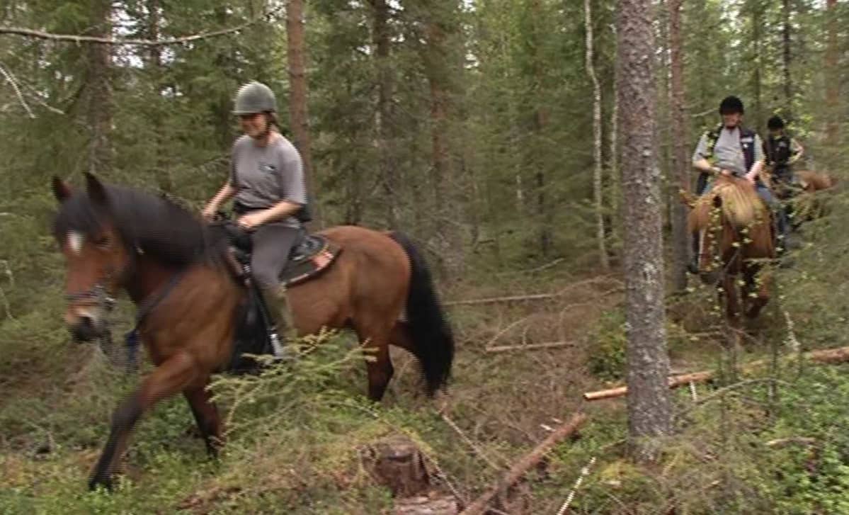 Pisan eräratsut, eräratsastus, Rovaniemi