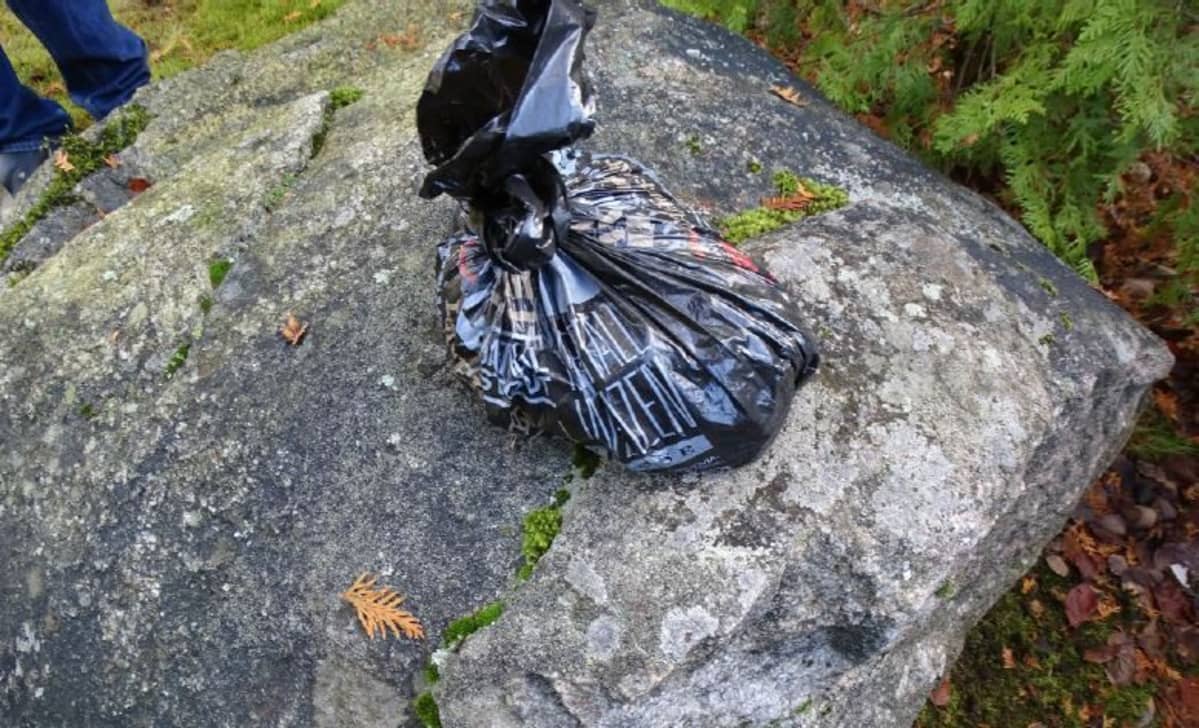 Alkon muovipussi, jossa oli kolikoita.