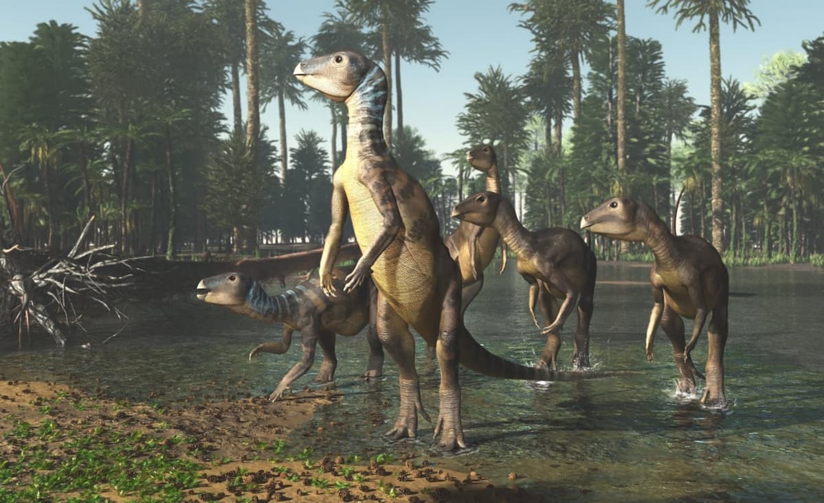 Piirroskuva neljästä dinosauruksesta kosteikossa korkeiden puiden alla.