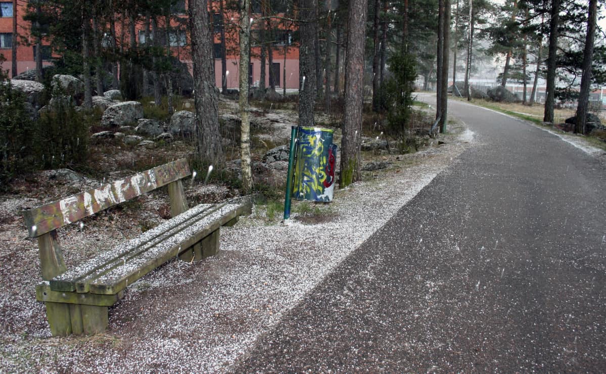Puistonpenkki kävelytien varressa.