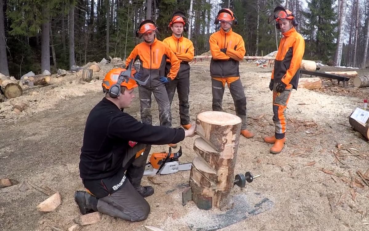 Metsuriopiskelijat katsovat, kun valmentaja arvioi heidän suoritustaan puunkaadossa.