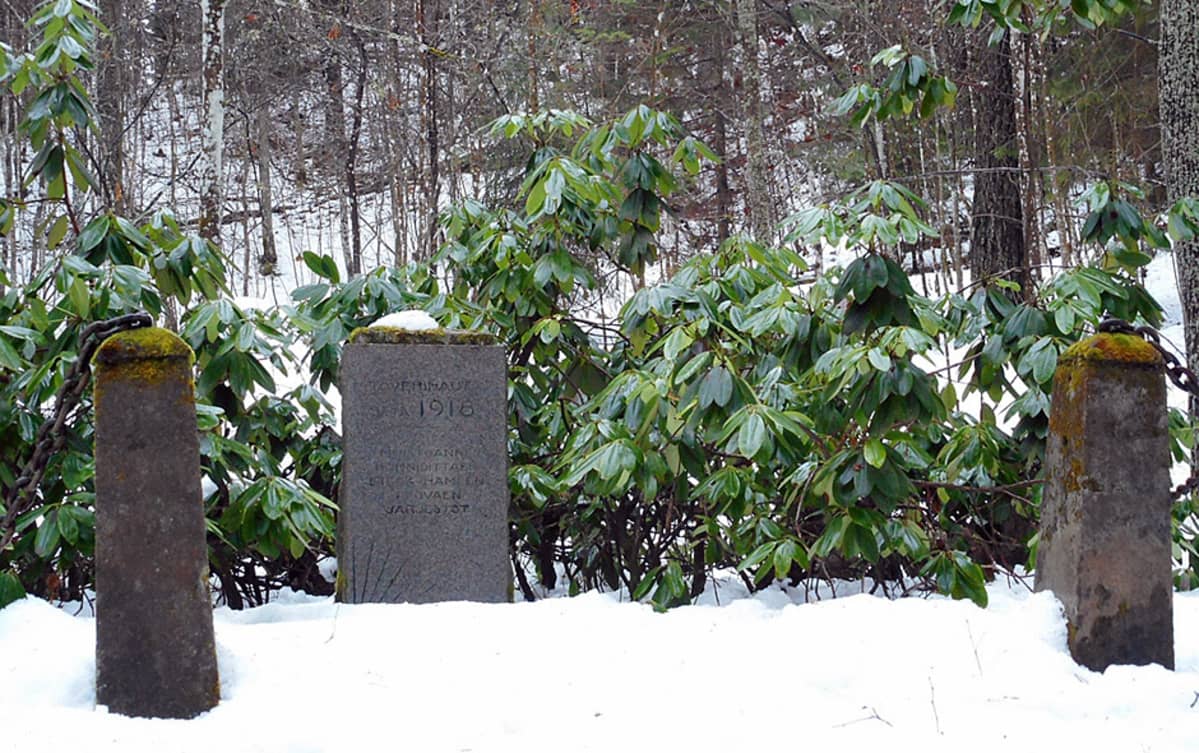 Rotkohauta Hämeenlinnan Ahvenistolla