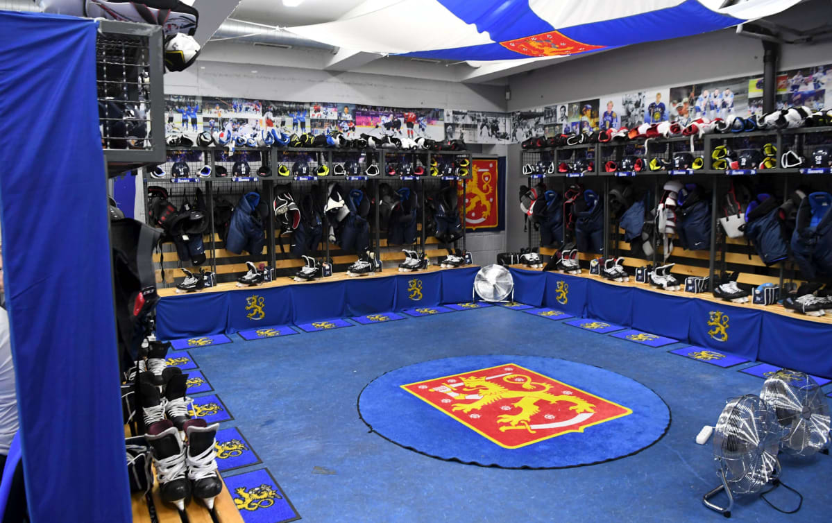 Leijonien pukukoppi