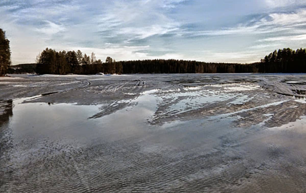 Vettä jäällä Kallavedellä 27. 3.2016.