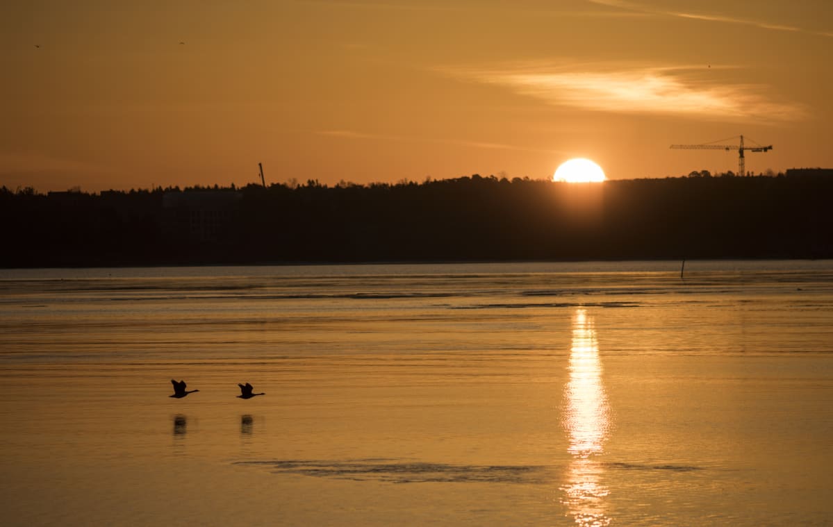 Auringonnousu.
