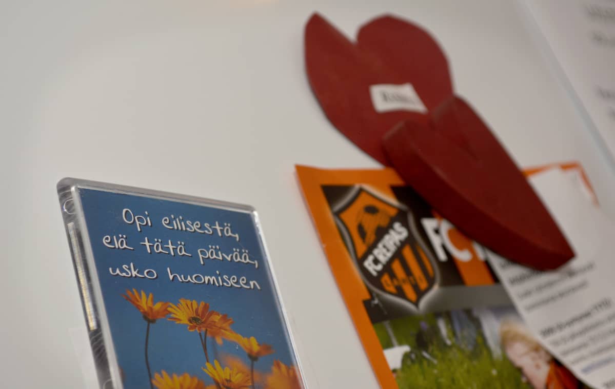 Jääkaappimagneetteja.