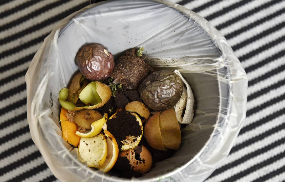 Hedelmänkuoria ja kahvinporoja biojäteastiassa.