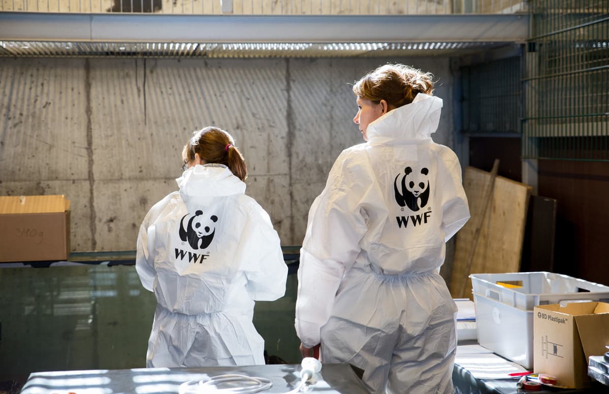 wwf:n työntekijöitä